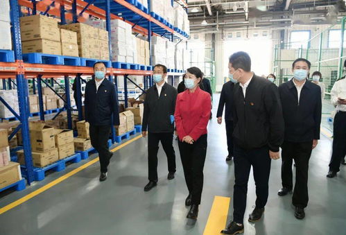 王莉霞強調 強化一對一精準服務，全面推動綜合保稅區高質量發展